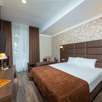 standart-gork-4